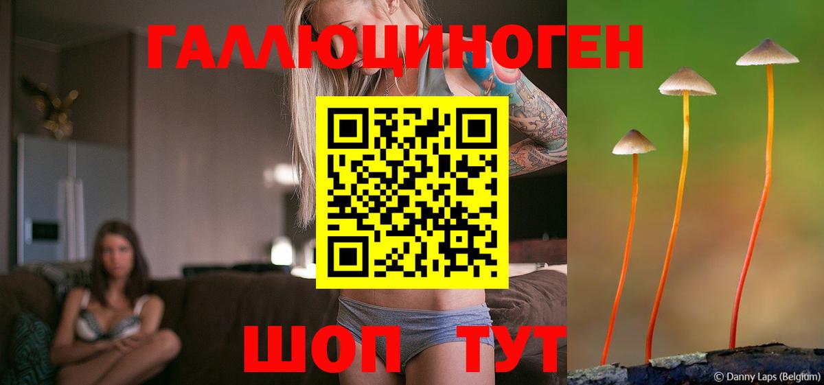 Галлюциногенные грибы Psilocybine cubensis  Вход с VPN  Нарткала 