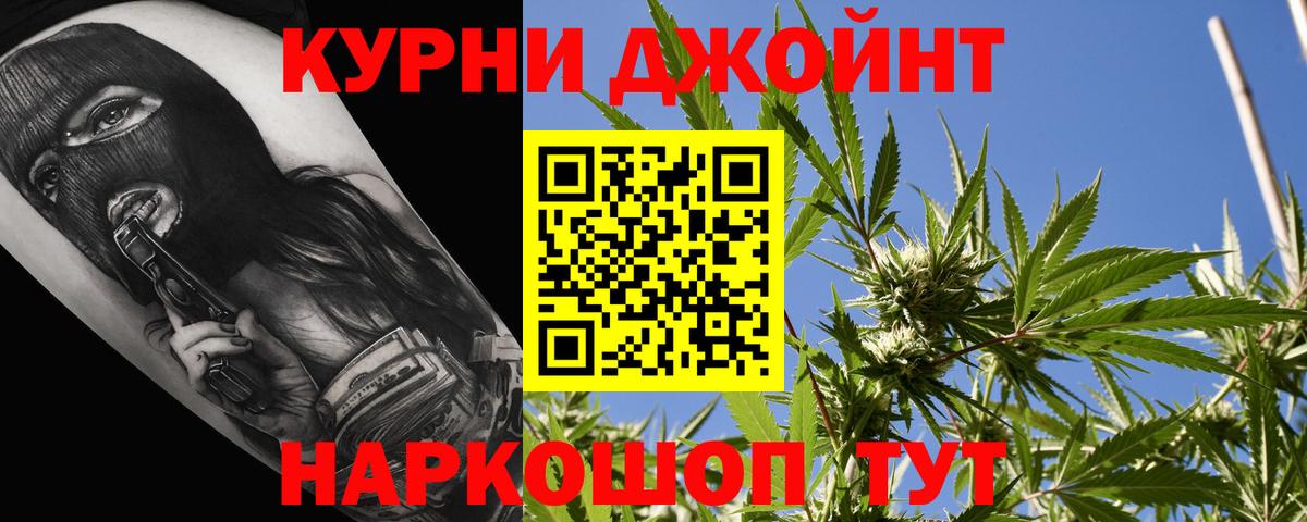 Каннабис планчик Нарткала